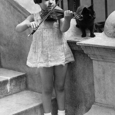 Tarjeta de felicitación en blanco de violín y gato