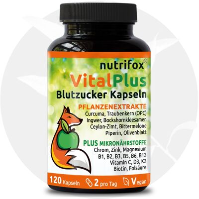 Blutzuckerformel mit 22 Pflanzenextrakten, Multivitaminen & Mineralien (z.B. Kurkuma, Ingwer, Ceylon-Zimt, OPC, Bockshornkleesamen, Bittermelone, Chrom, Zink, Vitamin B-Komplex), vegan, 120 Kapseln