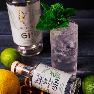 Wolftown Citrus Ginebra - 20cl