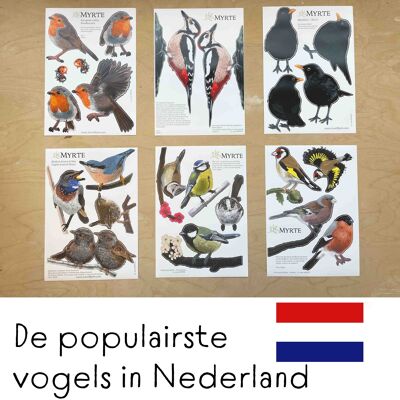 Netherlands Vogels Wall Stickers MYRTE