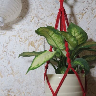 Macrame Plant Hanger /100% Natural Cotton/Eco-friendly - short - red