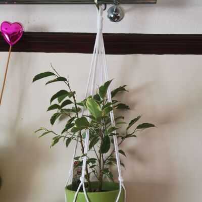 Cintres pour plantes - blanc - nœuds simples
