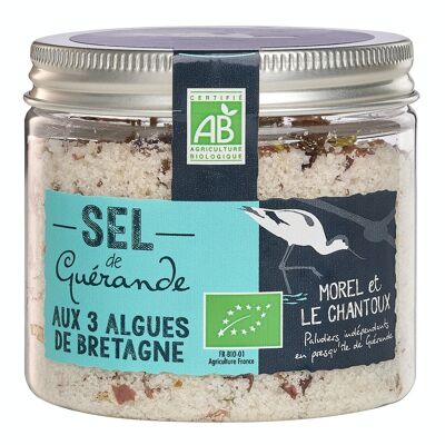 IGP Guérande salt with 3 seaweeds from Brittany - 150g