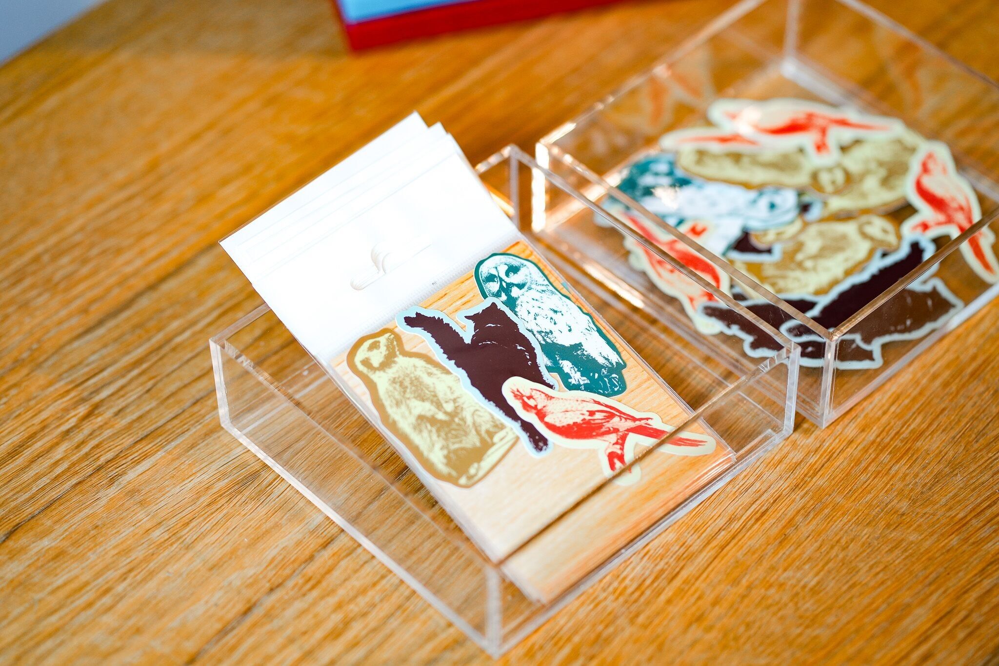 Pacchetto adesivi animali - 4 adesivi suricato, gufo, gatto, pappagallo