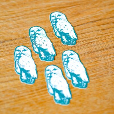 Sticker Animaux - Chouette