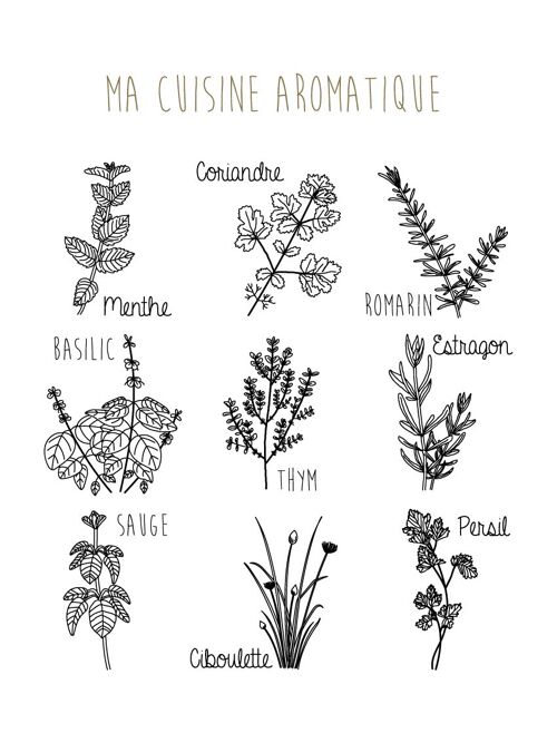 Illustration - Ma Cuisine Aromatique