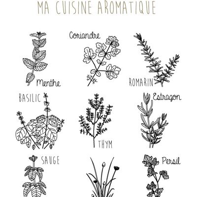 Ilustración - Mi cocina aromática