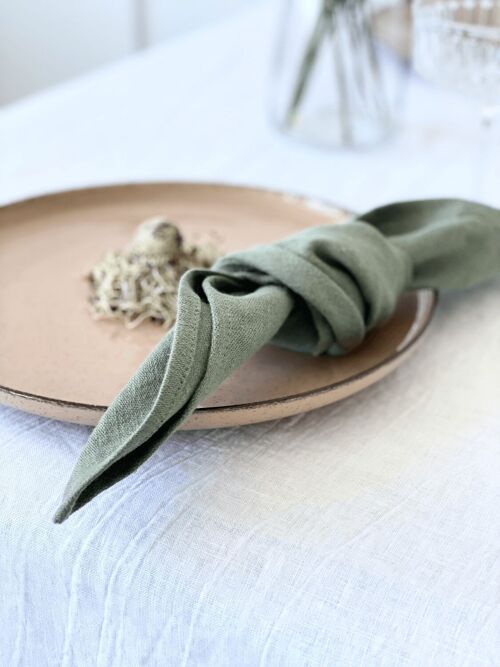 Linen Napkins with Luxurious Edge Set of 2