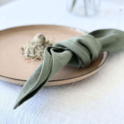 Linen Napkins with Luxurious Edge Set of 2