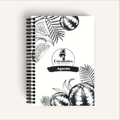 colección de coco
AGENDA - COCO TROPICAL