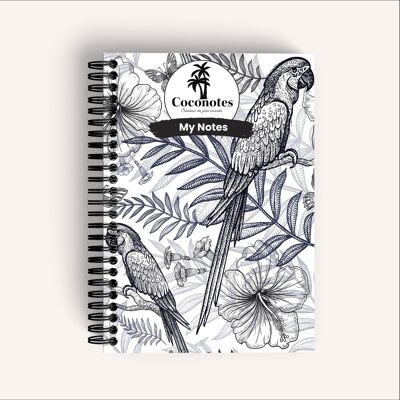Coconut collection
MY NOTES - PAROT
