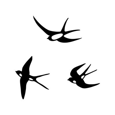 Illustration - The Black Swallows
