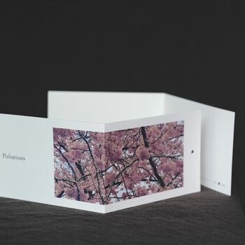Carte postale panoramique Pulsations avec enveloppe ciglée 1