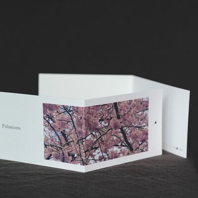 Pulsations panoramic postcard with stamped envelope