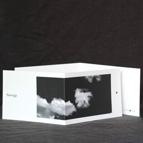 Carte postale panoramique Sauvage avec enveloppe ciglée