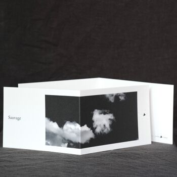 Carte postale panoramique Sauvage avec enveloppe ciglée 1