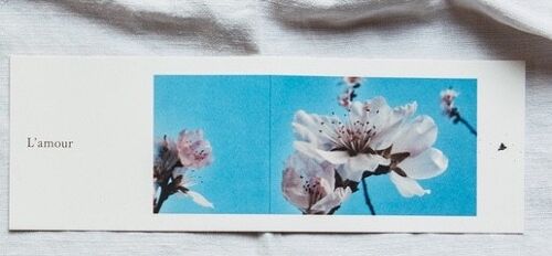 Carte postale panoramique L'Amour avec enveloppe ciglée