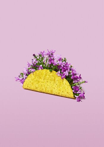 Fleur-taco - sans cadre - 50x70 4