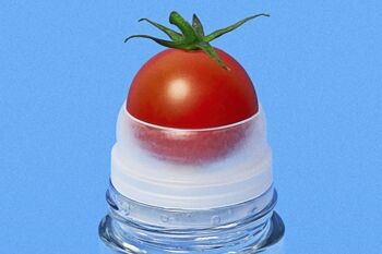 Eau-de-tomate - sans cadre - 50x70 5