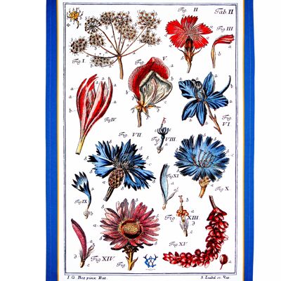 Tea Towel Colourful Botanical Floral Antique print Blue Border Luxury Cotton UK made Ideal Housewarming Gift