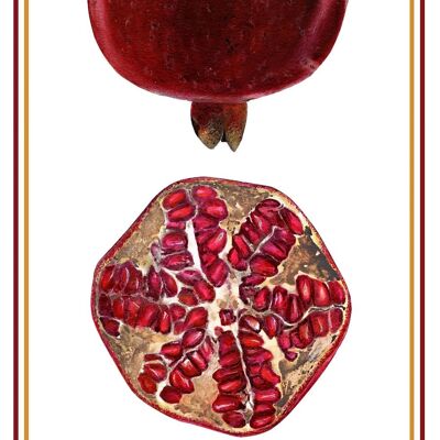 Deep Red Tea Towel Antique Colourful Pomegranate Print Luxury Cotton Gift Kitchen linen