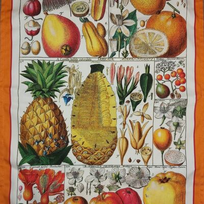Torchon de fruits exotiques imprimé botanique antique 100% coton bordure orange vif