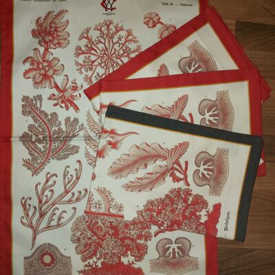 Elegant Red Sea Coral & Algae Tea Towel Antique 19thC Print Coral Red Border