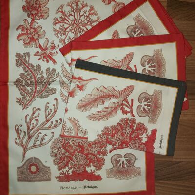Elegant Red Sea Coral & Algae Tea Towel Antique 19thC Print Coral Red Border