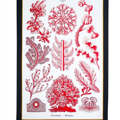 Linge à vaisselle élégant corail de la mer rouge et algues bordure anthracite imprimée du XIXe siècle