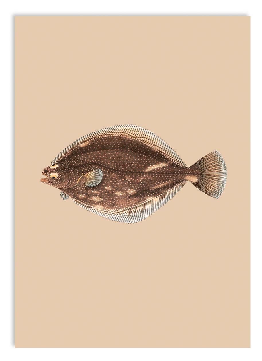 Miniprint A5 Easy Rider