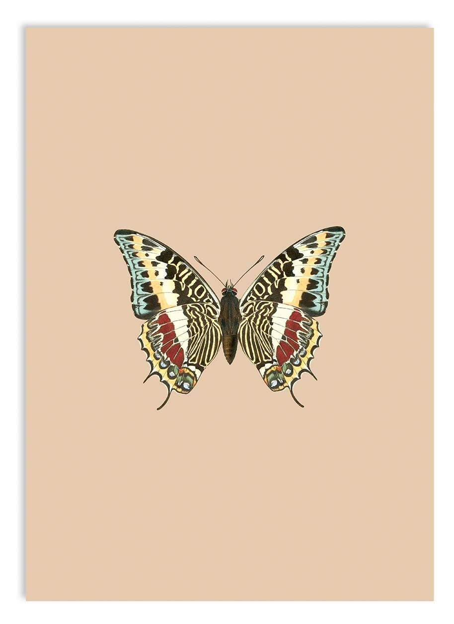 Mini stampa A5 Sognando