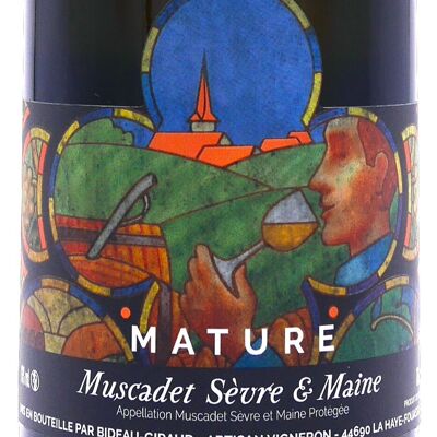 AOP Muscadet Sèvre et Maine - MATURE 
Vin Nature