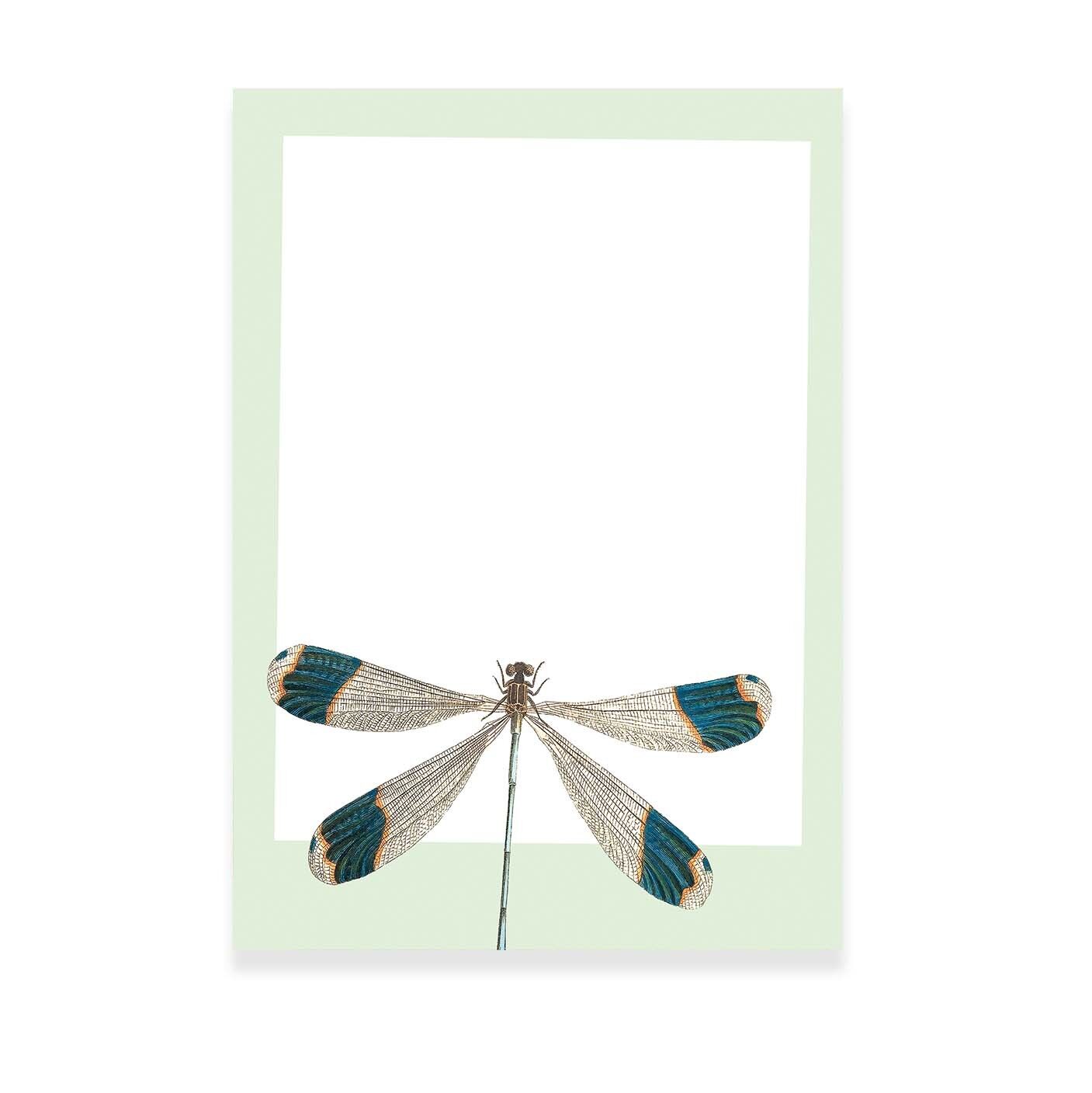 Blocco note A5 Aldilà