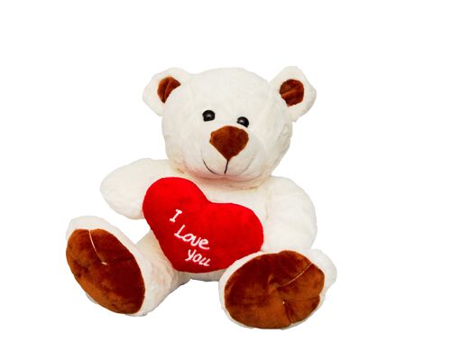 Teddy Bear White