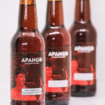 Rice Amber Ale - Bière ambrée [DDM fin 03/23] 4