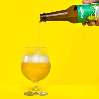 Mafana IPA - Bière style IPA 3