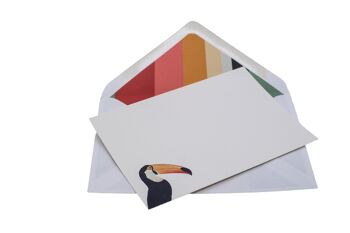 Ensemble de cartes de notes Toco Toucan avec enveloppes lignées 2