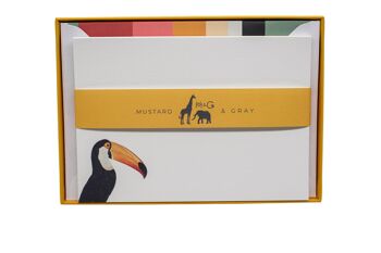 Ensemble de cartes de notes Toco Toucan avec enveloppes lignées 5