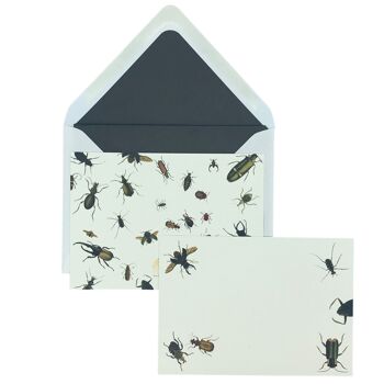 Vintage Bugs Notecard Set avec enveloppes doublées 3