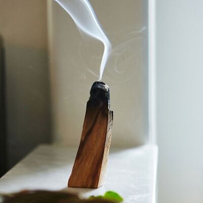Bastone di Palo Santo