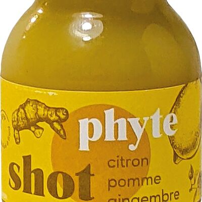 Shot Détox -  Citron Gingembre