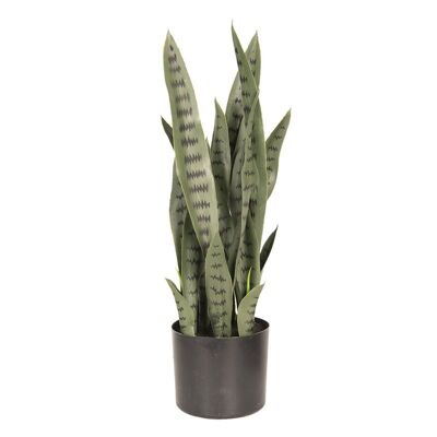 Decoratie plant sanseveria 26x30x60 cm 1