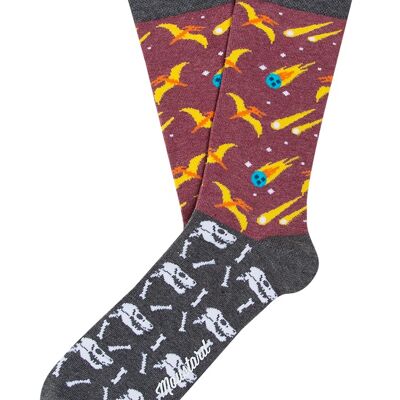 Extinction Socks