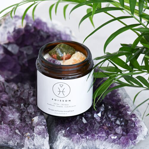 Poisson - Bougie énergétique astrologique vegan parfumée