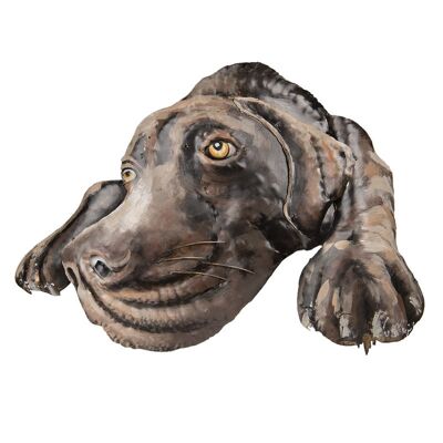 Wanddecoratie hond 70x5x52 cm 1