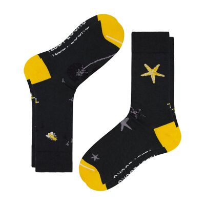 The Odyssey Set - 2 Pack Eco-friendly Crew Socks