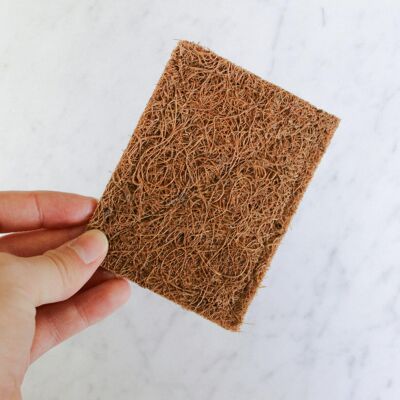 COCONUT SCRUB PADS- Pack of 2