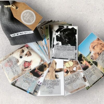 Nouvelles cartes d'étape de chien dans un sac cadeau fait à la main