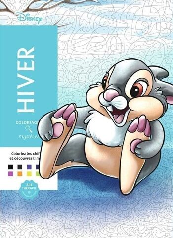 LIVRE DE COLORIAGE - COLORIAGE mystères Disney Hiver