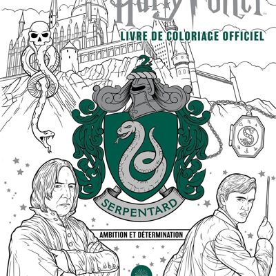 Le Nouveau Grimoire de Sorcière - Brigitte Bulard-Cordeau - Boutique Harry  Potter